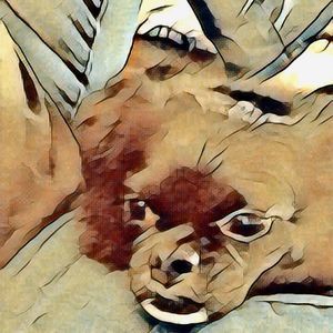 Meet your Posher, Eddie